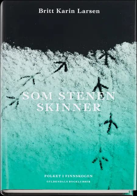 Som stenen skinner af Britt Karin Larsen