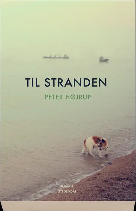 Til stranden af Peter Højrup