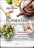Kinesisk holistisk medicin