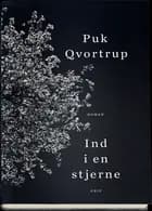 Ind i en stjerne