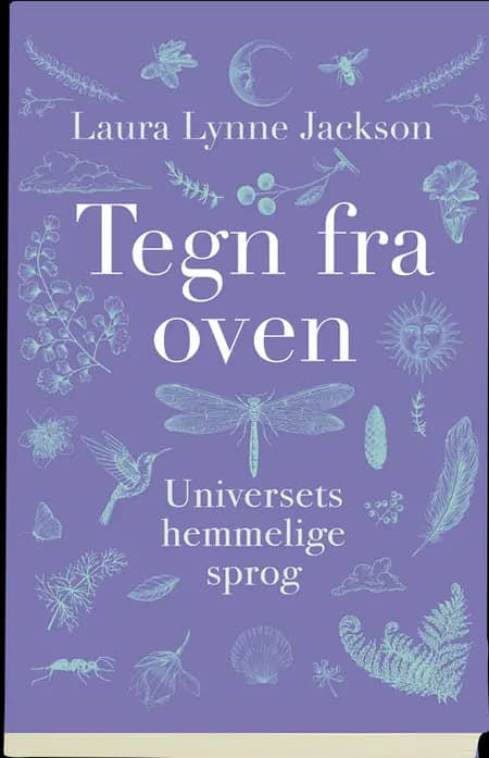 Tegn fra oven af Laura Lynne Jackson