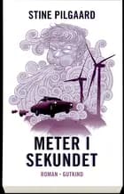 Meter i sekundet