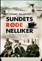 Sundets røde nelliker