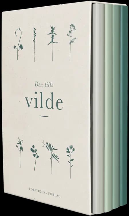 Den lille vilde af Thomas Laursen