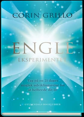 Engle-eksperimentet af Corin Grillo