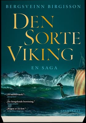 Den sorte viking af Bergsveinn Birgisson