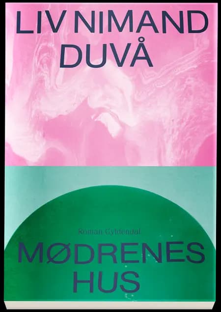 Mødrenes hus af Liv Nimand Duvå