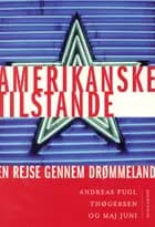 Amerikanske tilstande