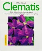 Clematis