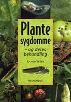 Plantesygdomme og deres behandling