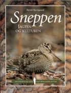 Sneppen