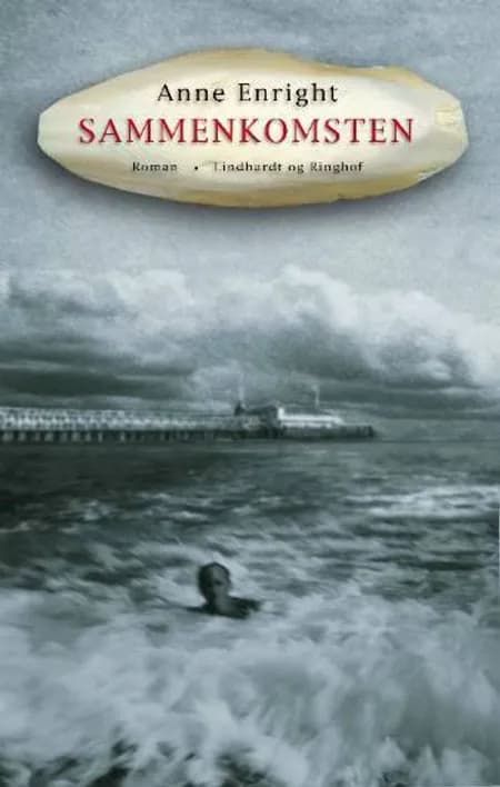 Sammenkomsten af Anne Enright