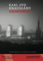 Sjælens Amerika