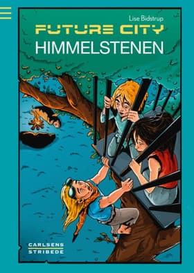 Himmelstenen af Lise Bidstrup