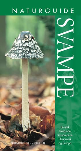 Naturguide Svampe af Shelley Evans