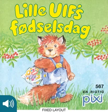 Lille Ulf's fødselsdag af Heidi Bruhn