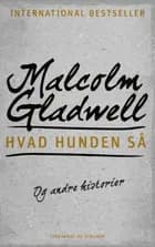 Hvad hunden så - og andre historier