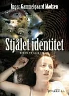 Stjålet identitet af Inger Gammelgaard Madsen