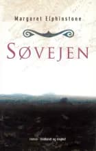 Søvejen