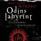 Odins labyrint