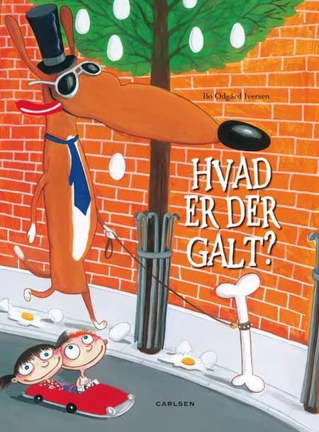 Hvad er der galt? af Bo Odgård Iversen