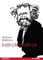 Indtryk og udtryk