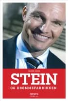Stein og drømmefabrikken