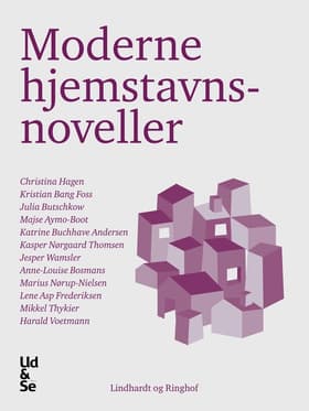 Moderne hjemstavnsnoveller af Diverse Forfattere