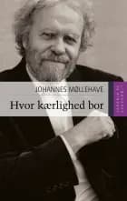 Hvor kærlighed bor