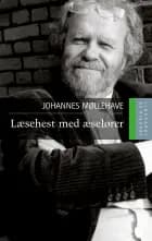 Læsehest med æselører