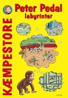 Kæmpestore labyrinter