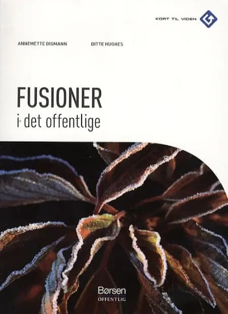 Fusioner i det offentlige af Annemette Digmann