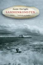 Sammenkomsten af Anne Enright
