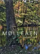 Mølleåen