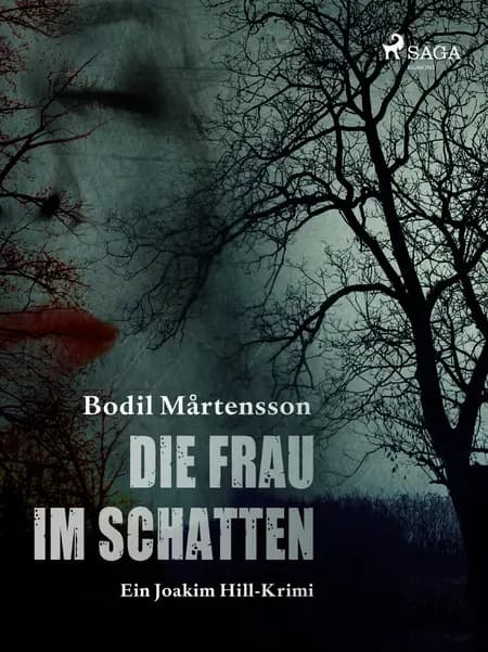 Die Frau im Schatten af Bodil Mårtensson