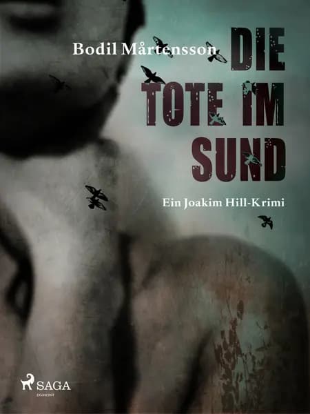 Die Tote im Sund af Bodil Mårtensson