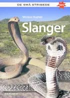 Slanger