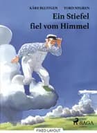 Ein Stiefel fiel vom Himmel af Kåre Bluitgen og Tord Nygren
