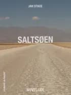 Saltsøen