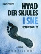 Hvad der skjules i sne af Ellen Duurloo