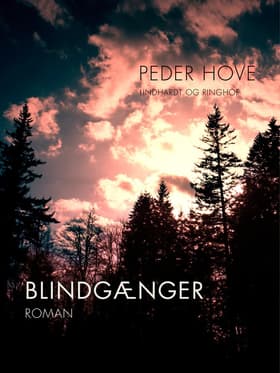 Blindgænger af Peder Hove