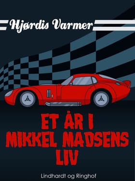 Et år i Mikkel Madsens liv af Hjørdis Varmer