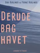 Derude bag havet af Franz Berliner og Bibi Berliner