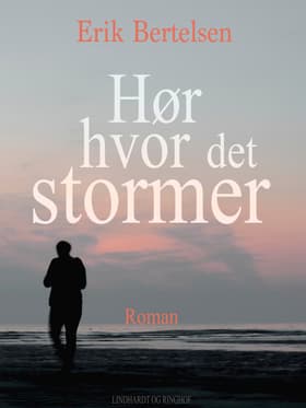 Hør hvor det stormer af Erik Bertelsen