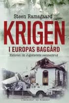 Krigen i Europas baggård - Historien om Jugoslaviens sammenbrud