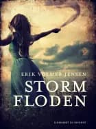 Stormfloden af Erik Volmer Jensen