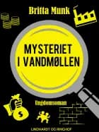 Mysteriet i vandmøllen