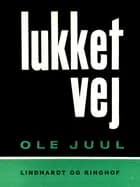 Lukket vej