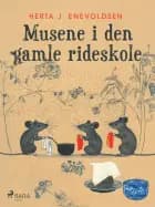 Musene i den gamle rideskole
