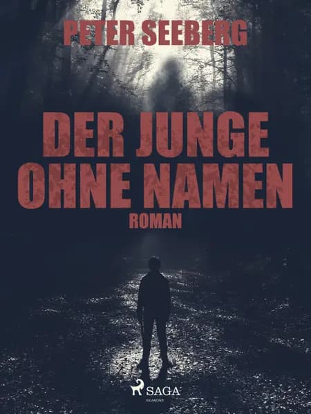 Der Junge ohne Namen af Peter Seeberg
